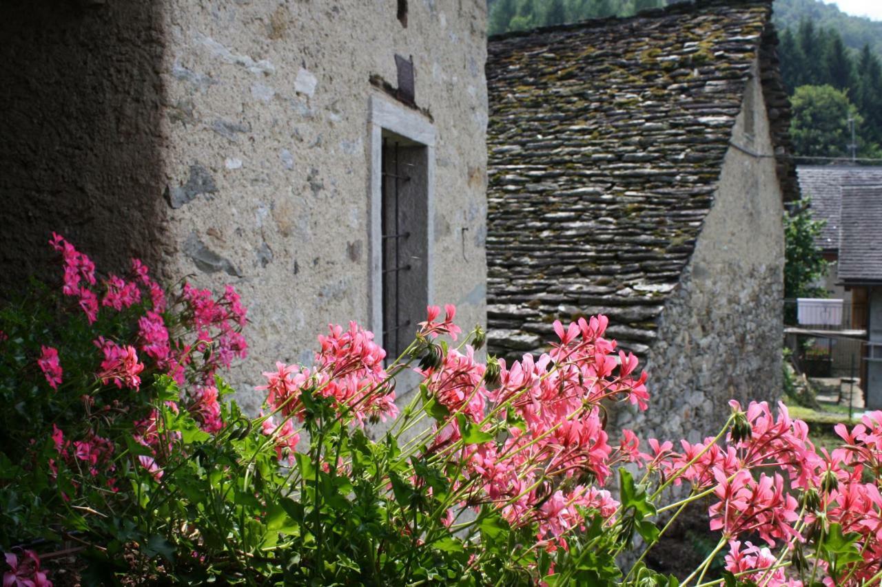 Anzino B&B Casa Quaroni المظهر الخارجي الصورة